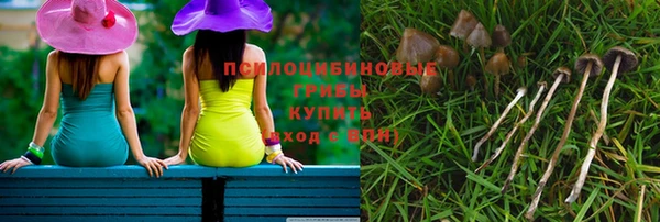 трава Алзамай