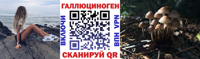 Галлюциногенные грибы Cubensis  ссылка на мегу вход  Кизел 
